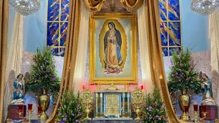 Celebración de la Virgen de Guadalupe en Zapopan 2025.jpg