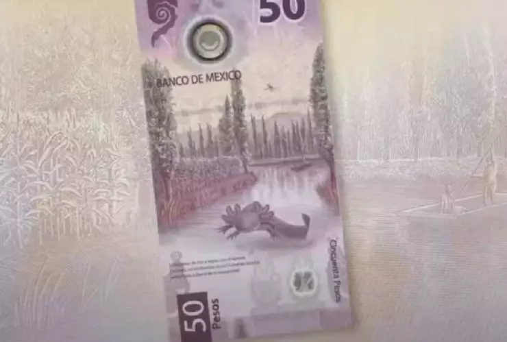 Dan hasta 6 MILLONES por este inusual billete de 50 pesos con estas características