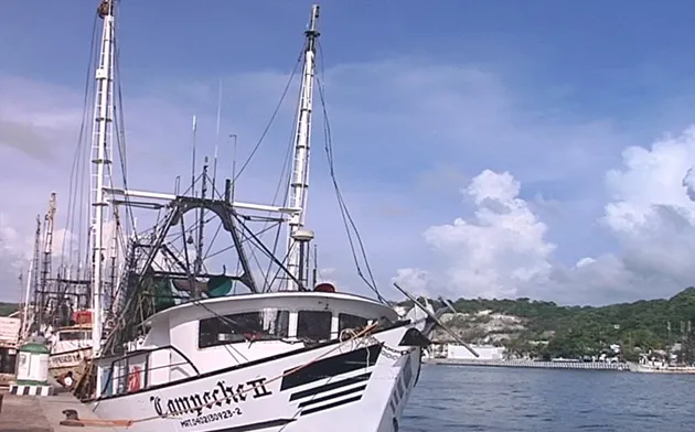 El Golfo de México es una gran cuenca oceánica ubicada al sur de América del Norte, limitando con las costas de México, Estados Unidos y Cuba