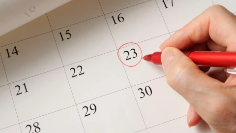 ¿Cuántos puentes quedan en México para 2024? Aquí la respuesta