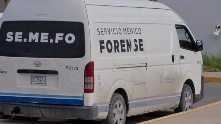 semefo