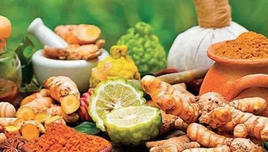 Medicina ancestral Ayurveda que equilibra cuerpo y mente