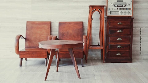 ¿Cómo eliminar las cucarachas de los muebles de madera?