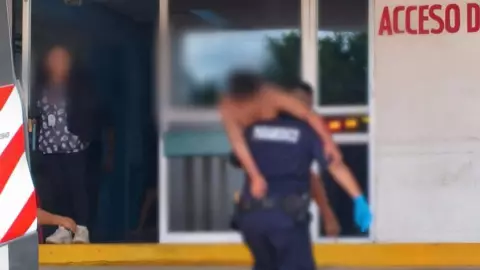 PORTADA ataque de abejas en Tizimín.jpg