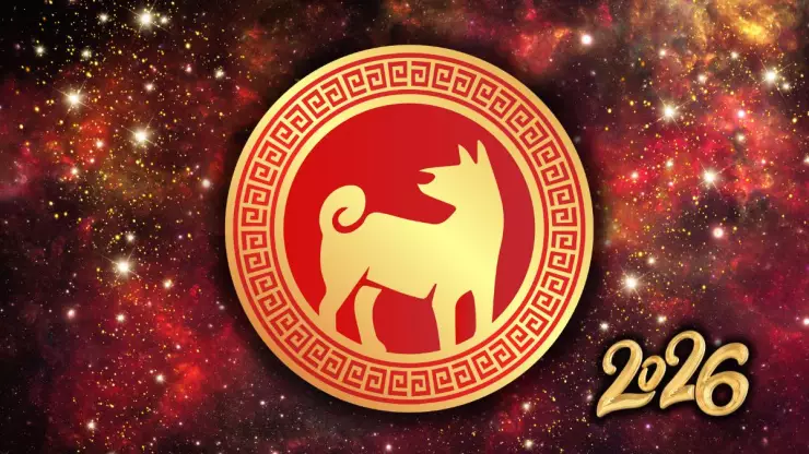 /horoscopos/horoscopo-chino-2026-estas-son-las-predicciones-para-el-perro-segun-la-astrologia-oriental