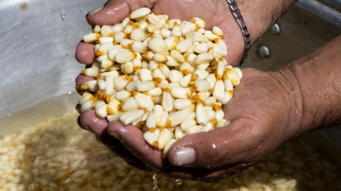 Día de la Candelaria