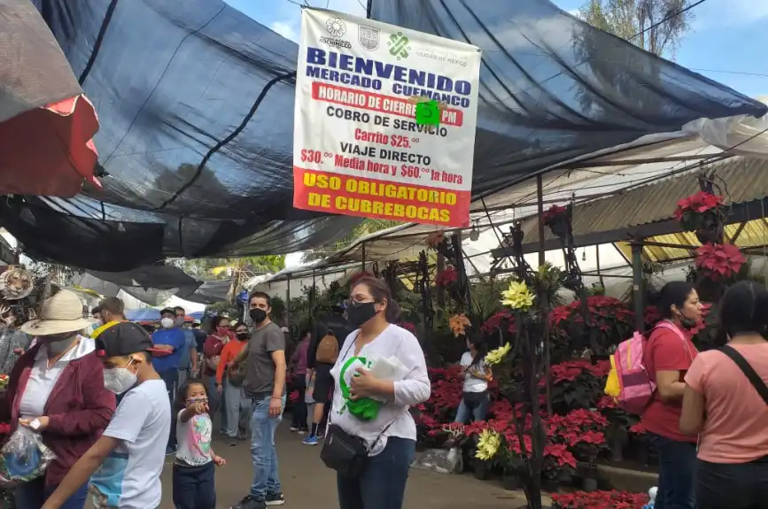 En estos mercados de flores puedes comprar nochebuenas en la CDMX