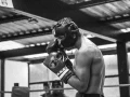 Jaime Munguía vs Gabriel Rosado 13 de noviembre Box Azteca