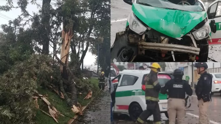 Rayo cae en árbol y rama aplasta taxi en Xalapa, Veracruz, avenida Lázaro Cárdenas, hay dos heridos