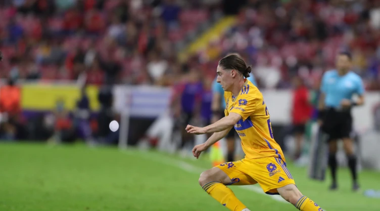 Marcelo Flores, Tigres