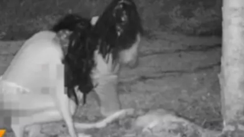 Presuntas brujas comiendo un ciervo en Canadá