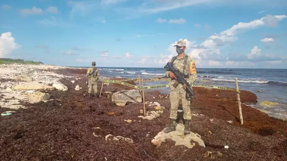 Recalan 8 kilos de marihuana en playas de Cozumel