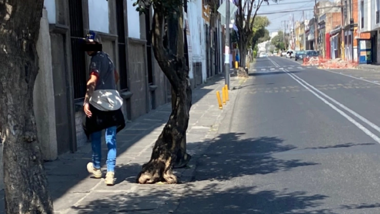 acoso callejero en puebla