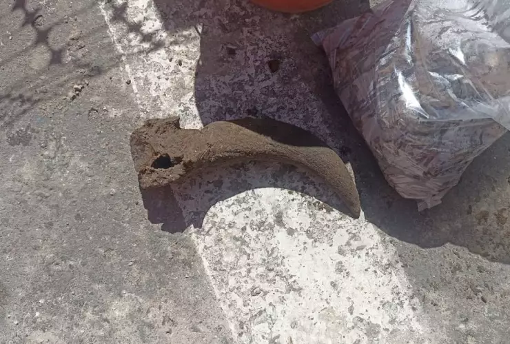 huesos centro historico veracruz.