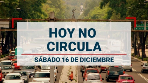 ¡Toma nota! Estos son los autos que descansan el sábado 16 de diciembre por el Hoy No Circula