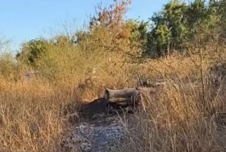 Encuentran restos óseos en Culiacán