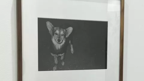 Maruch Sántiz Gómez se lleva el prestigiado Premio de Arte AXA México