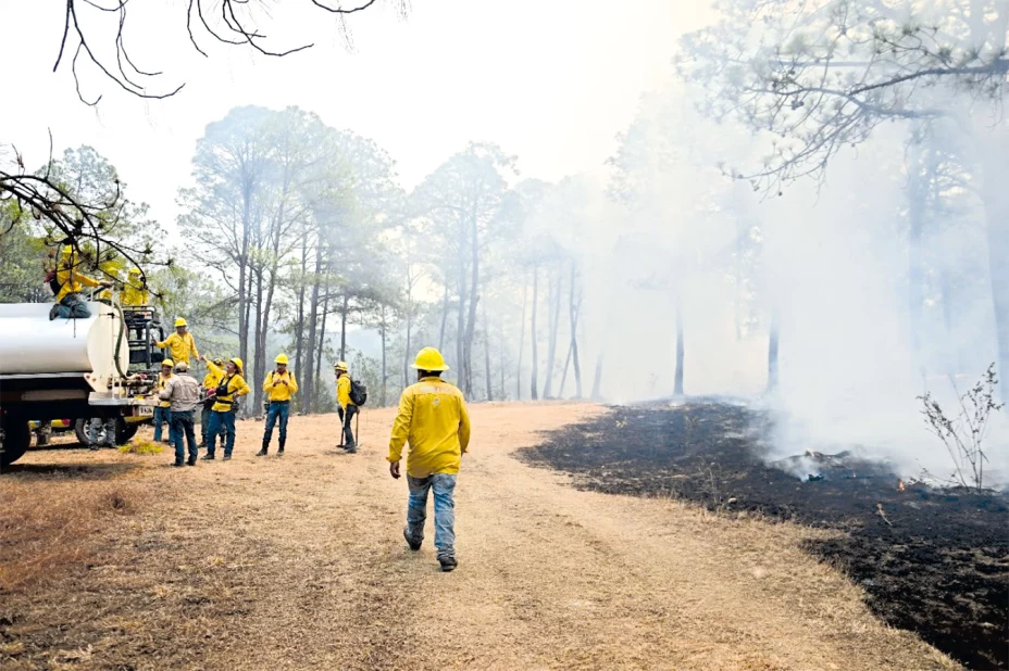 SANCHEZ Gobierno-del-Estado-de-México---3.jpg