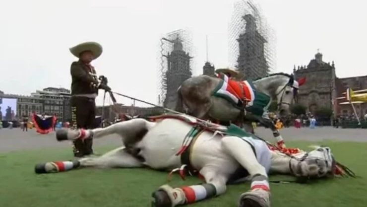 VIDEO - Caballo se hace el muertito en pleno desfile y causa sensación