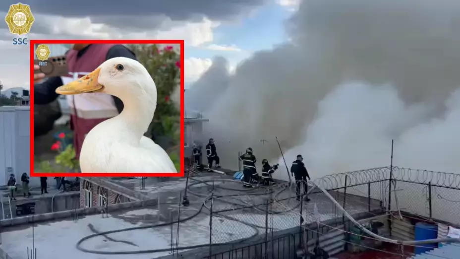 Un incendio se registró hoy en Iztacalco.