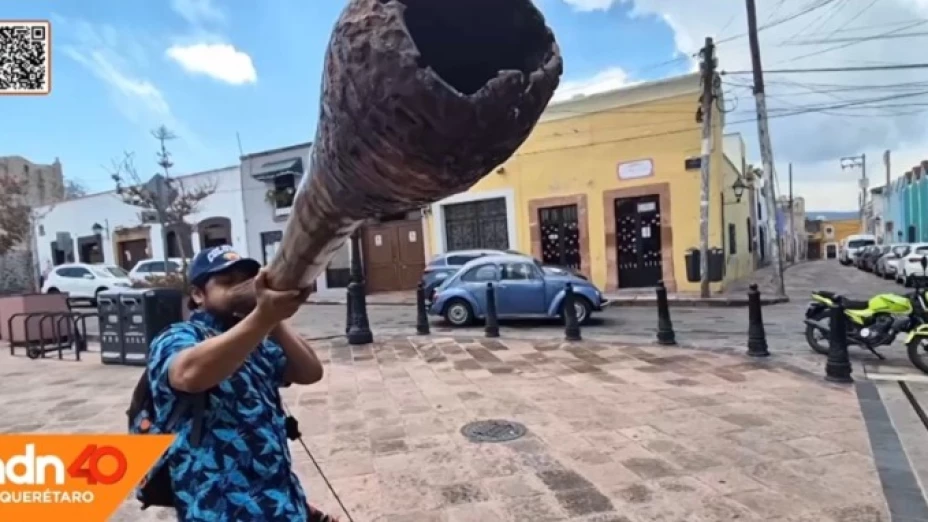 trompeta maya.jpeg