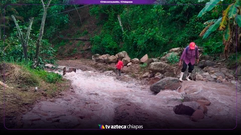 LAS FLORES, CHICOMUSELO