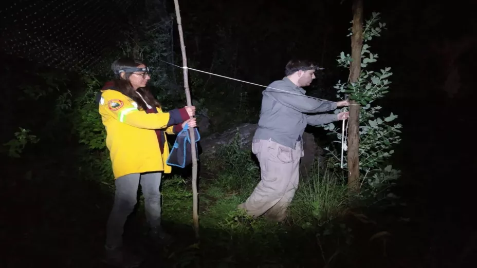 Logra Sedema identificar más de mil 400 especies en Áreas Naturales Protegidas .jpeg