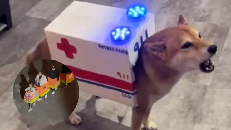 ¡De terror! Estos fueron los disfraces de Halloween más espeluznantes del 2023