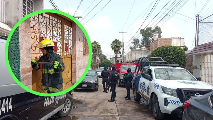 hallan perrito muerto Celaya
