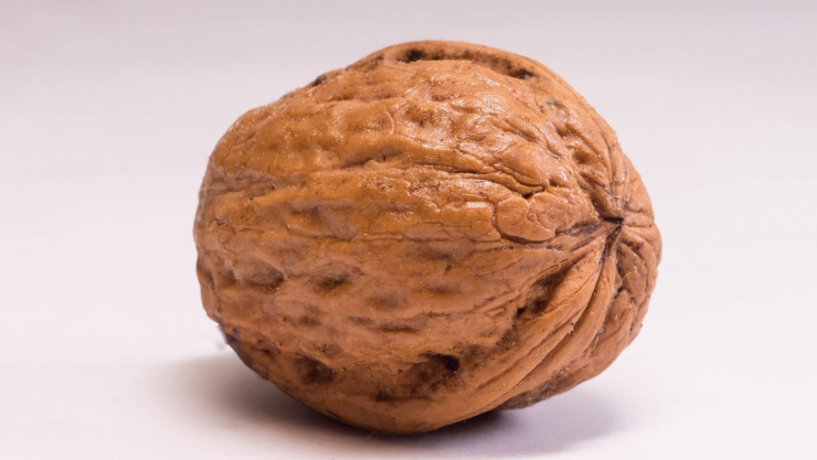 nuez (1).png