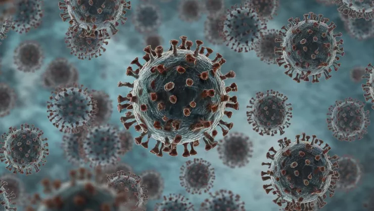 México emite alerta por brote de virus de Marburgo.jpg