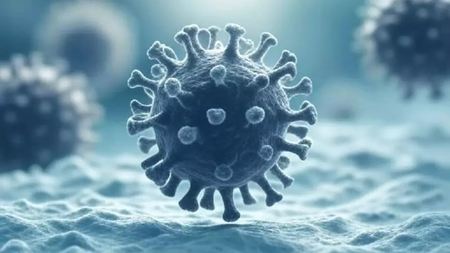 Veracruz, primer lugar a nivel nacional en casos positivos de influenza