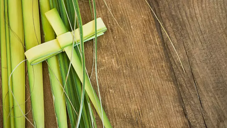 Domingo de Ramos Senana Santa