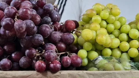 Uva verde y morada