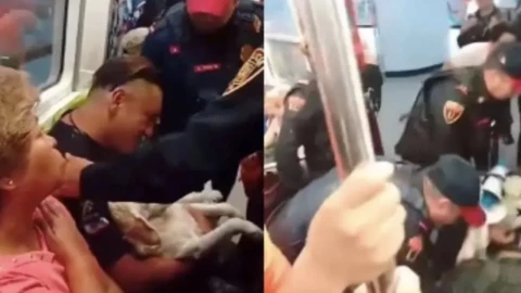 hombre con perro herido del Metro de la CDMX