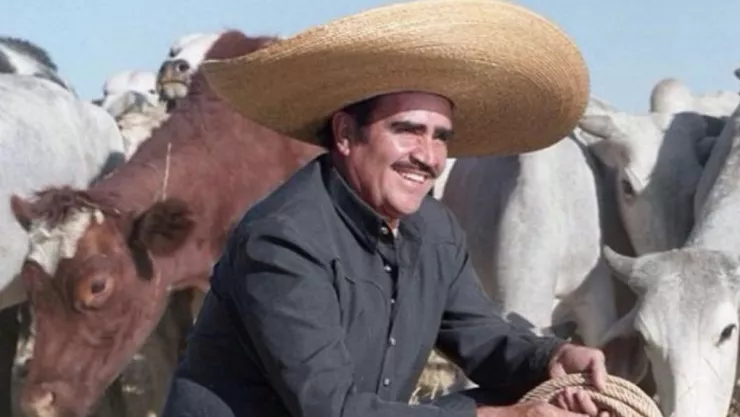 Encuentran en calles de Sonora al gemelo de Vicente Fernández. (VIDEO)