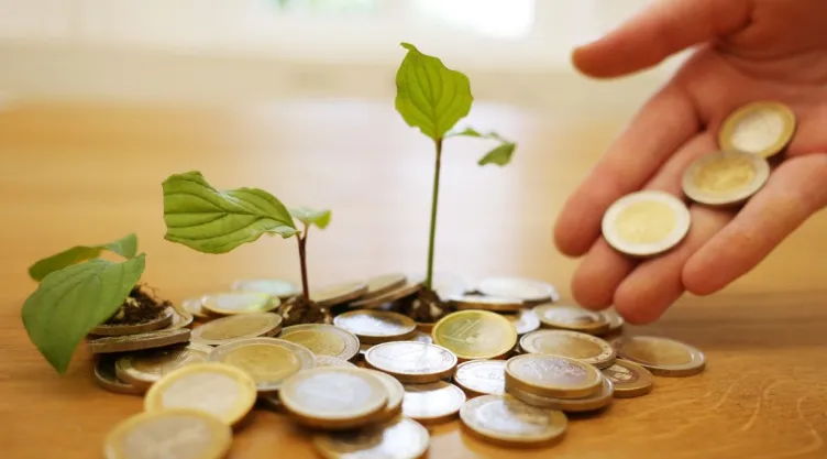 El ritual para enterrar monedas en macetas y atraer abundancia