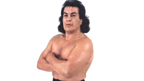 Perro aguayo
