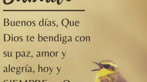 Imágenes de buenos días sábado para redes sociales y WhatsApp