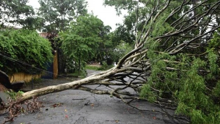 tempestad-muertos-millones-electricidad-sao-paulo-video