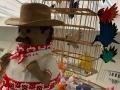 ‘Con alas de libertad’ es una de las piñatas que obtuvo mención honorífica.