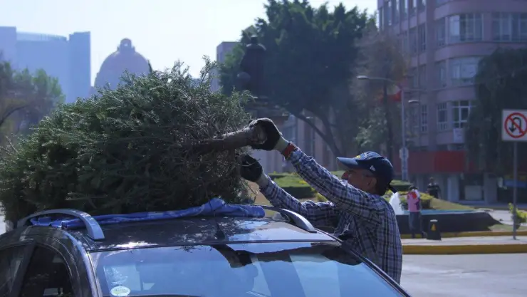 arbol navidad composta.jpg