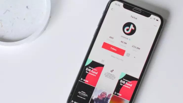 Empresa ofrece hasta 17 mil pesos por ver videos de TikTok