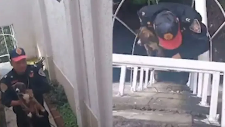 Así fue el dramático rescate de un cachorro de dos meses en CDMX