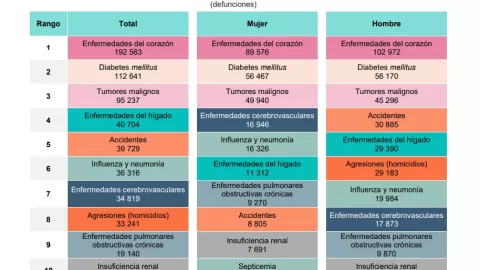 ¿Cuáles fueron las principales causas de muerte en México en 2024?