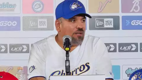 Liga Mexicana de Softbol equipos