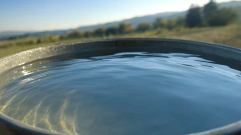 Tandeo agua León Guanajuato viernes 9 mayo 2025 colonias sin servicio.png