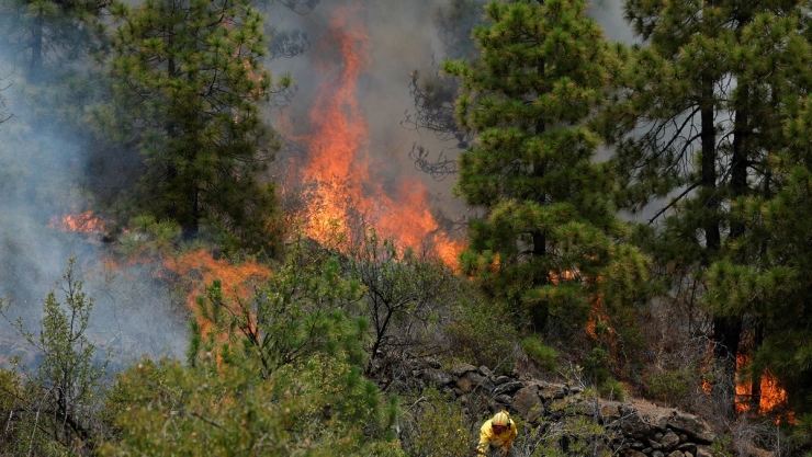 En plena ola de calor, un incendio en las islas Canarias provoca evacuación de más de 4 mil personas.