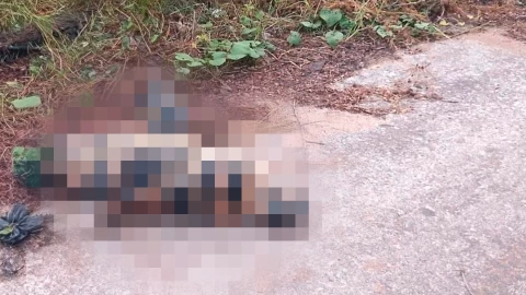 Cuerpo embolsado en Suchiapa