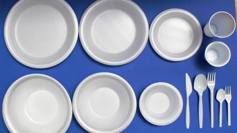 Productos desechables